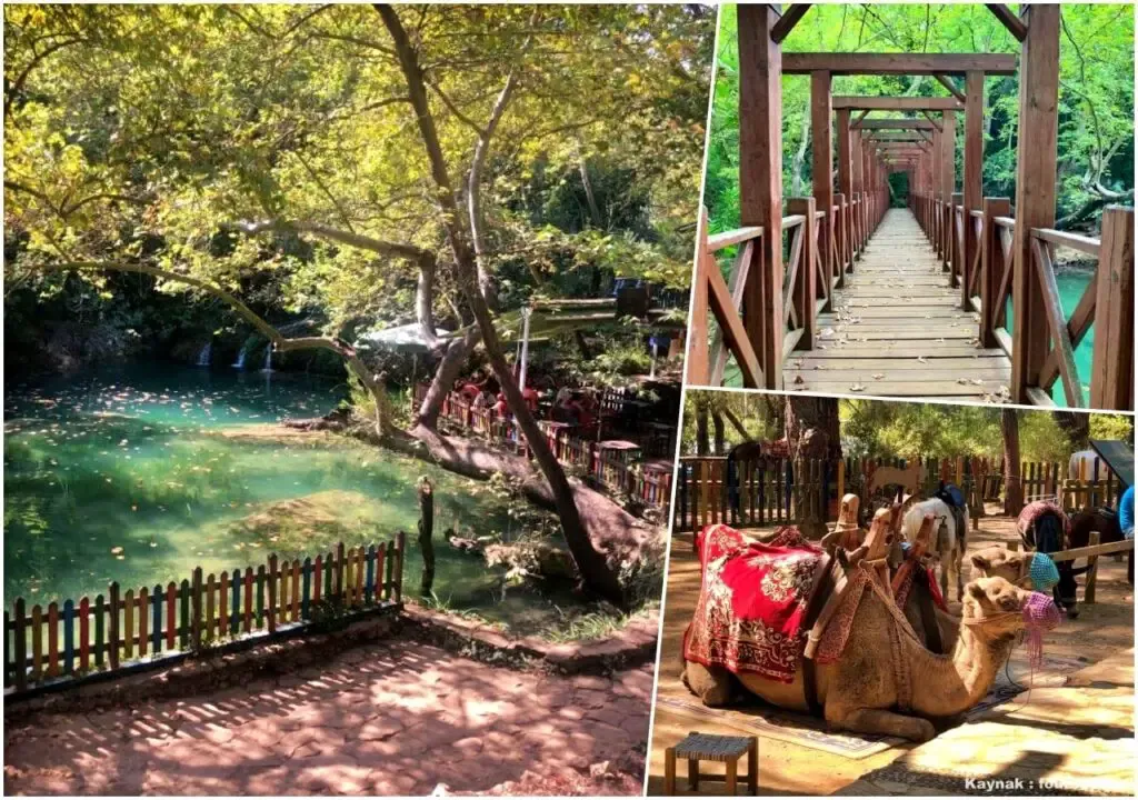 Kurşunlu Waterfall Landscape Design Project - 2