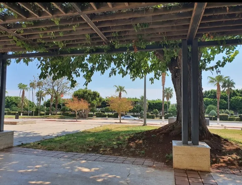 Mersin Kumluk City Park Landscape Design Project - 8