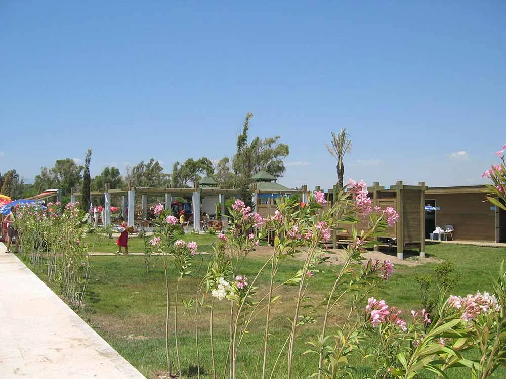 Larabeach Coastal Use Landscape Design Project - 15