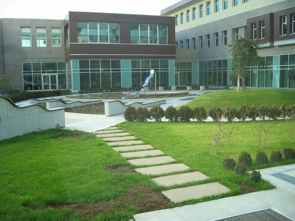 Mesa Private Hospital Landscape Design Project - 7