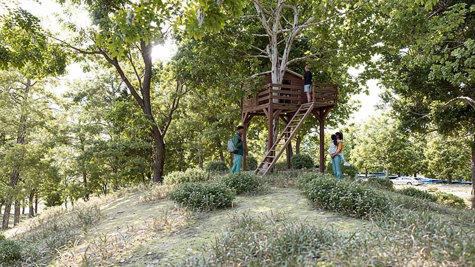 Aksaray Urban Forest - 12